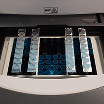 PCR Foil