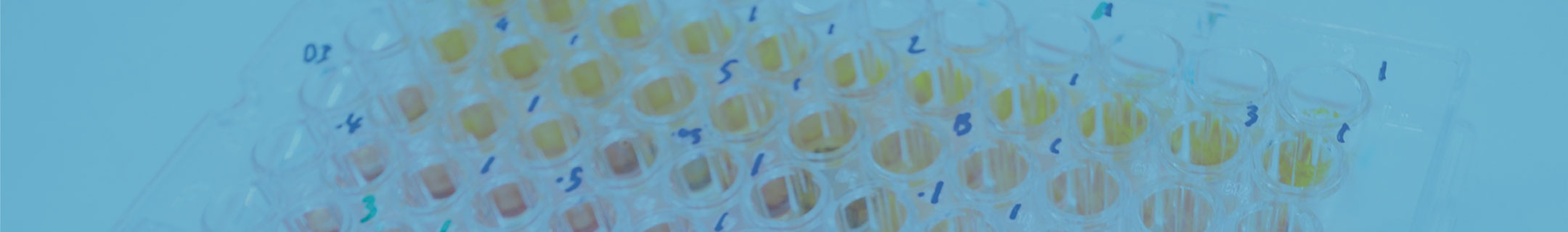 Tissue Culture Multiwell Plates