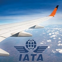 95kPa IATA Pouches for Air Transport