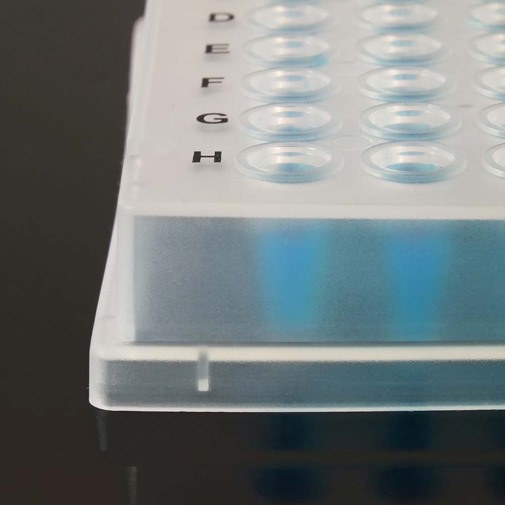 Amplify Fully-Skirted 96-Well PCR Plates