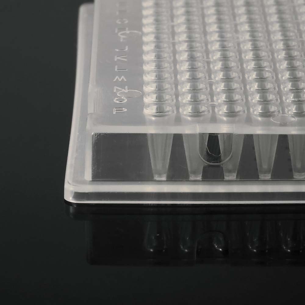 Amplify Fully-Skirted 384-Well PCR Plates