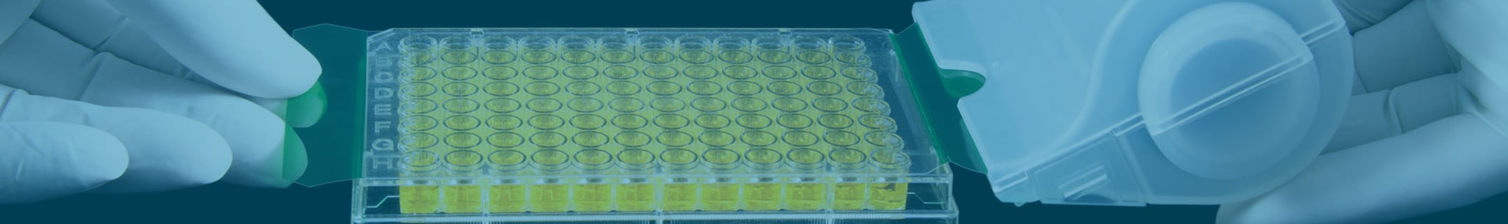 PCR Plate Sealing