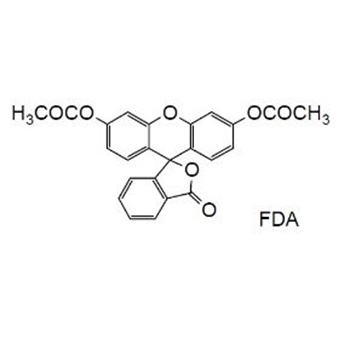 Cellstain FDA