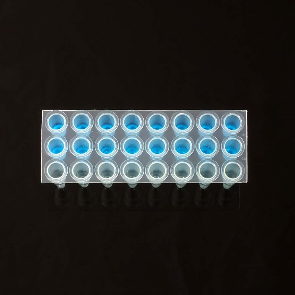 24 Well PCR Plate Natural