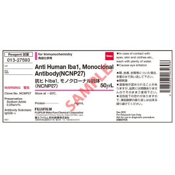 Anti Human Iba1 Mouse IgG2b Monoclonal Antibody (NCNP27) 50&#181; for Immunochemistry Wako