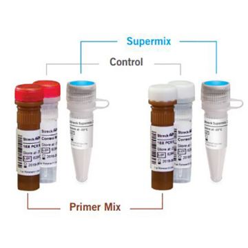 ARM-D real-time PCR kit for detection of six plasmid-mediated ampC gene families MOX DHA ACC EBC FOX CMY-2100 reactions