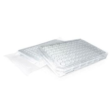 BioClean® 96 Well Sterile Endotoxin Free Universal Microplate for Endotoxin Testing pack of 50 Plates