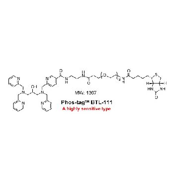 Phos-tag&#8482; Biotin BTL-111 0.1ml 1mM phosphate tag Western Blot style detection purification Nard Institute Manac Inc Wako