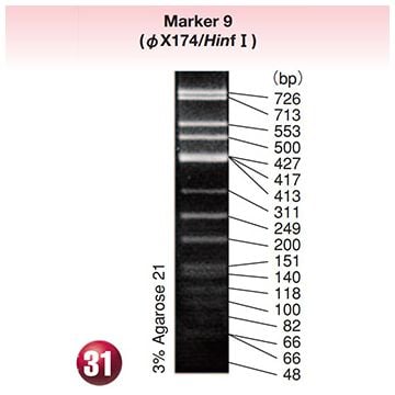 DNA Molecular Weight Marker Ladder Electrophoresis 9 phiX174 phage DNA <i>Hinf</i> I  digest 5x15&#0181;g Wako