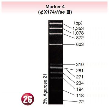 DNA Molecular Weight Marker Ladder Electrophoresis 4 phiX174 phage DNA <i>Hae</i> III  digest 5x15&#0181;g Wako