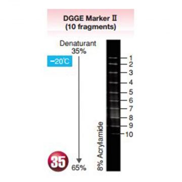 Denaturing Gradient Gel Electrophoresis DGGE molecular Marker II 10 Fragments 30&#0181;l 16S rDNA mutation soil bacteria analysis  Nippon Gene Wako