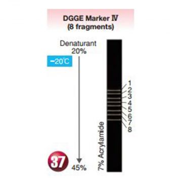 Denaturing Gradient Gel Electrophoresis DGGE molecular Marker IV 8 Fragments 30&#0181;l 16S rDNA mutation bacteria fungi nematode Nippon Gene Wako