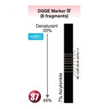 Denaturing Gradient Gel Electrophoresis DGGE molecular Marker IV 8 Fragments 5x150&#0181;l 16S rDNA mutation bacteria fungi nematode Nippon Gene Wako