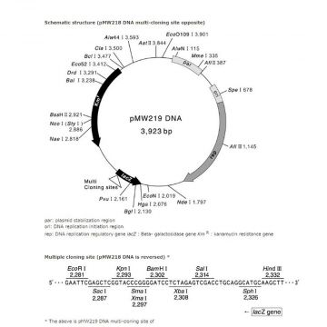 pMW 218 DNA plasmid cloning 10&#181;g  Nippon Gene Wako