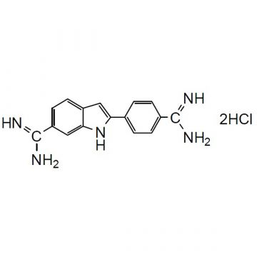 DAPI  4',6-Diamidino-2-phenylindole Solution (1mg/ml) Cell Analysis Dead Cell Stain 1ml Cellstain&#174; Dojindo Laboratories Wako