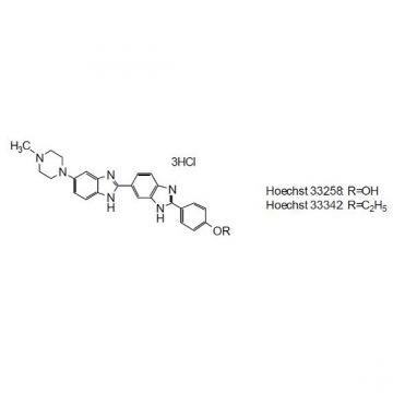 Hoechst 33258 Solution (1mg/ml H<sub>2</sub>O) Nucleus Stain 1ml Cellstain&#174; Dojindo Laboratories Wako