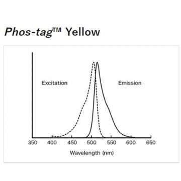 Phos-tag&#8482; Yellow fluorescent gel stain for detection of phosphorylated protein and peptide residues 0.2mg NARD Institute FUJIFILM Wako Chemicals