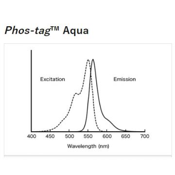 Phos-tag&#8482; Aqua fluorescent gel stain for detection of phosphorylated protein and peptide residues 0.2mg NARD Institute FUJIFILM Wako Chemicals