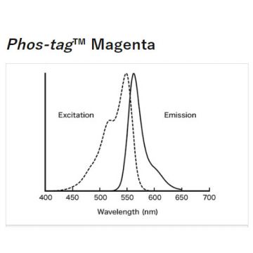 Phos-tag&#8482; Magenta fluorescent gel stain for detection of phosphorylated protein and peptide residue 0.2mg NARD Institute FUJIFILM Wako Chemicals