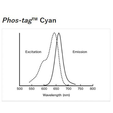 Phos-tag&#8482; Cyan fluorescent gel stain for detection of phosphorylated protein and peptide residues 0.2mg NARD Institute FUJIFILM Wako Chemicals
