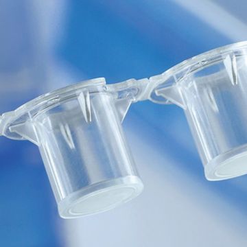 Insert Strips 13mm smooth-walled 0.4 &#181;m Polycarbonate membrane for std applications such as secretion studies<br />co-culture chemotaxis etc.
