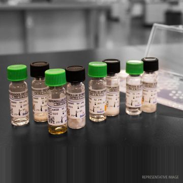 Aspergillus Control Sera (4 species) for  Immunodiffusion (ID) Test Immy  1ml