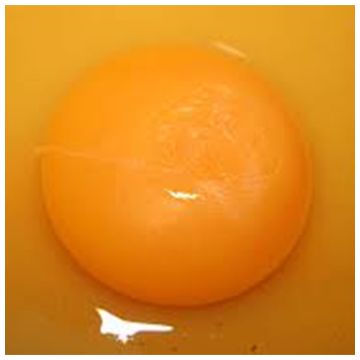 Egg Yolk allergen for use with B&#220;HLMANN CAST&#174; ELISA and Flow CAST&#174; assays 4 stimulations