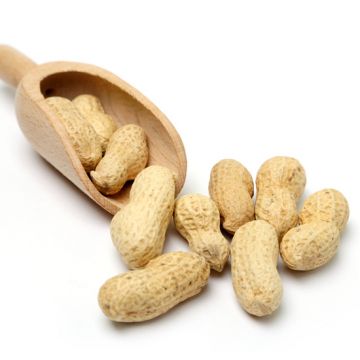 nARA H1 Peanut allergen for use with B&#220;HLMANN CAST&#174; ELISA and Flow CAST&#174; assays 4 stimulations