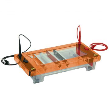 Gel Tank Horizontal Clarit-E Choice Stretch with 15x20cm gel tray 4 combs of your choice and casting dams For electrophoresis of DNA in agarose gels