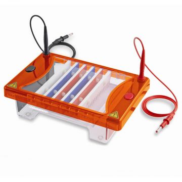 Gel Tank Horizontal Clarit-E Choice with 15x7cm gel tray 2 combs of your choice and casting dams For electrophoresis of DNA in agarose gels