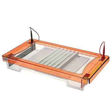 Gel Tank Horizontal Clarit-E Screen with 26x32cm gel trays 6 combs of your choice and flexicaster For electrophoresis of DNA in agarose gels