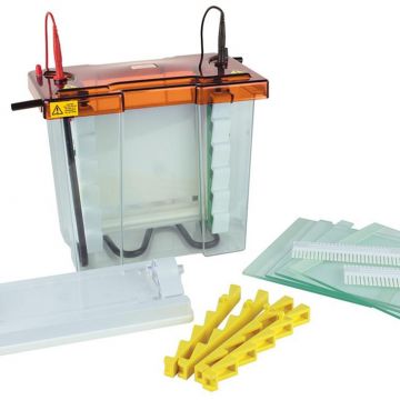 Gel Tank Vertical Clarit-E Maxi Z Dual 20x20cm for protein electrophoresis in polyacrylamide gels with caster