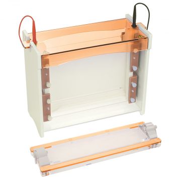 Gel Tank Vertical Clarit-E Maxi Plus Dual 30x22cm for protein electrophoresis in polyacrylamide gels without caster
