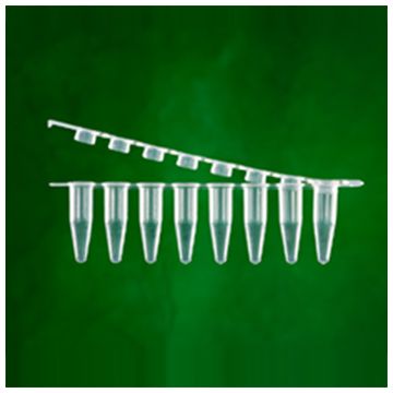 Tube strips 8 PCR 0.2ml thin walled natural with attached hinged strip of 8 flat optical caps RNAse DNAse DNA DNA inhibitors and endotoxin free