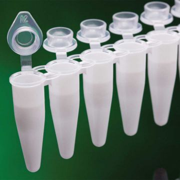 Tube strips 8 PCR 0.2ml thin walled white with individually attached flat optical caps RNAse DNAse DNA DNA inhibitors and endotoxin free