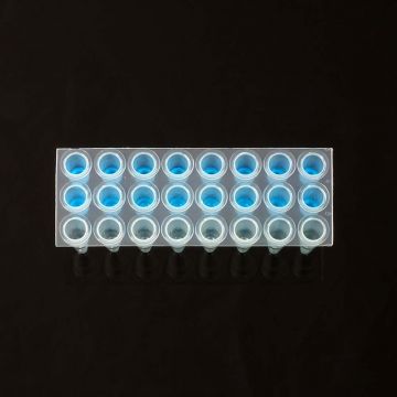 Microplate PCR 24 well unskirted standard height natural colour for classic PCR applications RNAse DNAse Pyrogen and DNA free