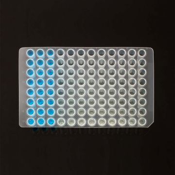 Microplate PCR 96 well unskirted standard height natural colour for classic PCR applications RNAse DNAse Pyrogen and DNA free