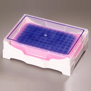 Rack IsoFreeze&#174; PCR colour change cooler rack pink/purple for 96x 0.2ml PCR tubes, PCR strip tubes or 96 well PCR plates for sample preparation