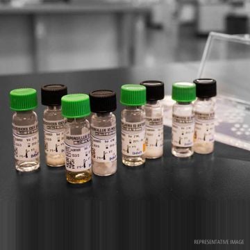 Paracoccidiodes Antigen for Immunodiffusion (ID) Test System Immy 1ml