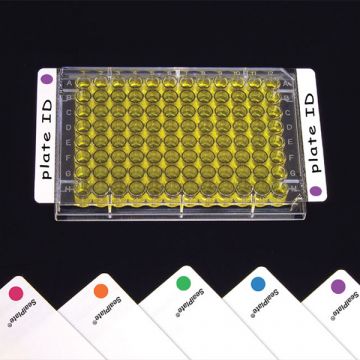 Sealing Film Clear SealPlate&#174; ColorTab&#8482; with mixed colour end tab dots non sterile sheets for ELISA, EIA, and similar assays  Pack of 50