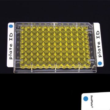 Sealing Film Clear SealPlate&#174; ColorTab&#8482; with blue colour end tab dots non sterile sheets for ELISA, EIA, and similar assays  Pack of 100