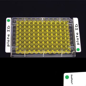 Sealing Film Clear SealPlate&#174; ColorTab&#8482; with green colour end tab dots non sterile sheets for ELISA, EIA, and similar assays  Pack of 100