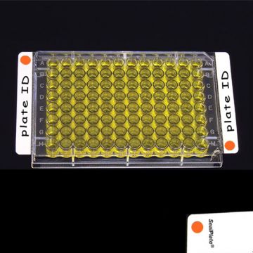 Sealing Film Clear SealPlate&#174; ColorTab&#8482; with orange colour end tab dots non sterile sheets for ELISA, EIA, and similar assays  Pack of 100