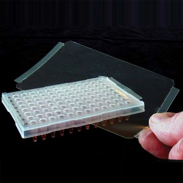 Sealing film clear ThermalSeal RT2RR&#8482; non sterile sheets for specific DNA sequence detection, real time qPCR applications & storage Pack of 100