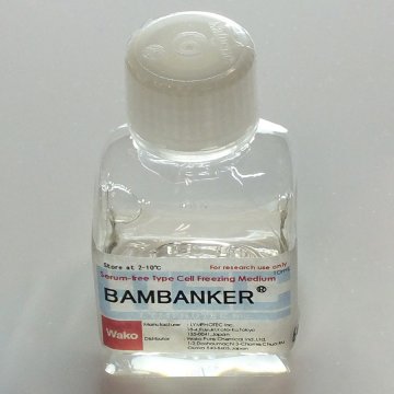 BAMBANKER
